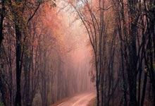 阿扎尔康复进展缓慢，皇马或决定手术治疗