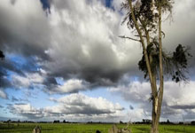 回到胜利之路！广东男篮赢下比赛