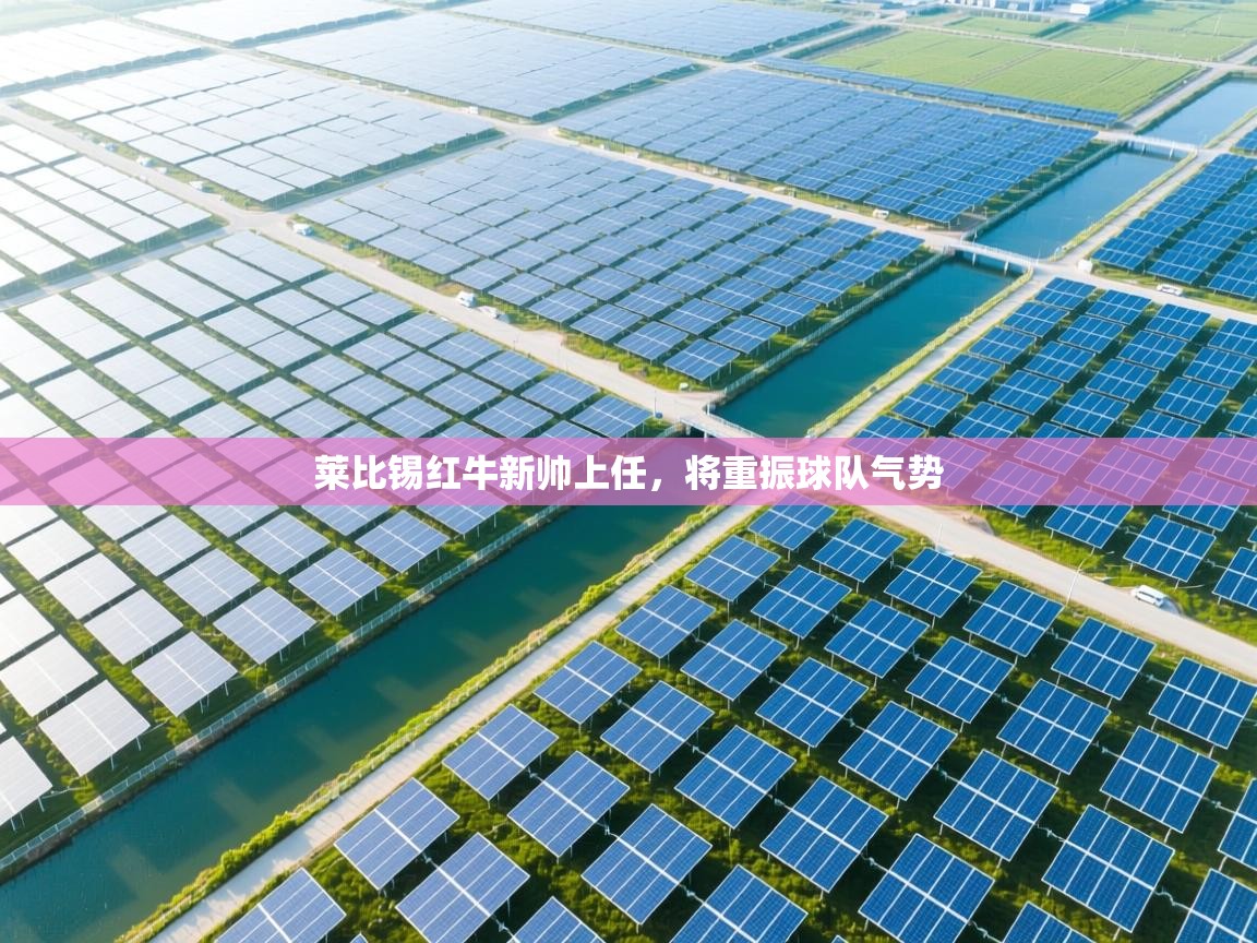 莱比锡红牛新帅上任,将重振球队气势 第1张