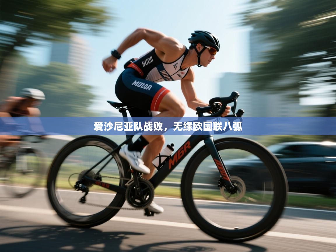 爱沙尼亚队战败，无缘欧国联八弧  第1张
