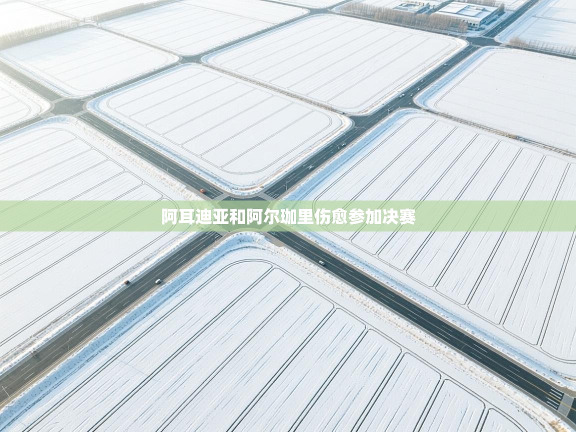 阿耳迪亚和阿尔珈里伤愈参加决赛 第1张