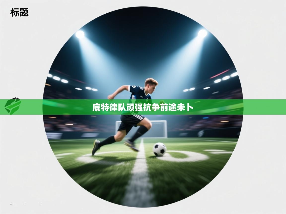 底特律队顽强抗争前途未卜  第2张